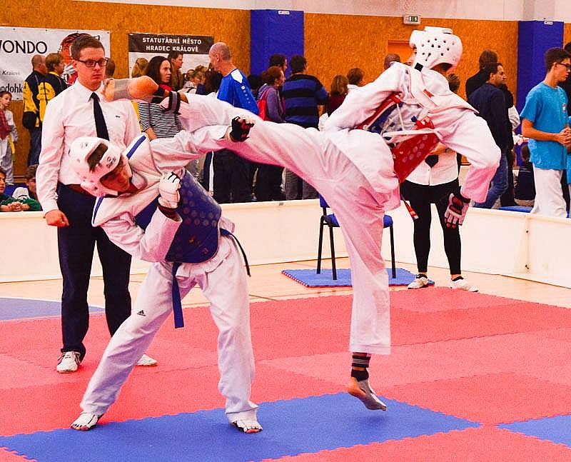 SOKOL CUP/CEFTA 2016