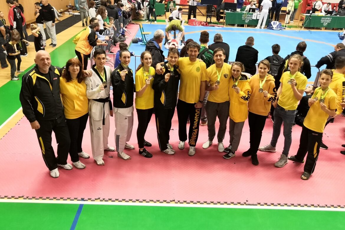 VÁNOČNÍ TURNAJ PELHŘIMOV 2019