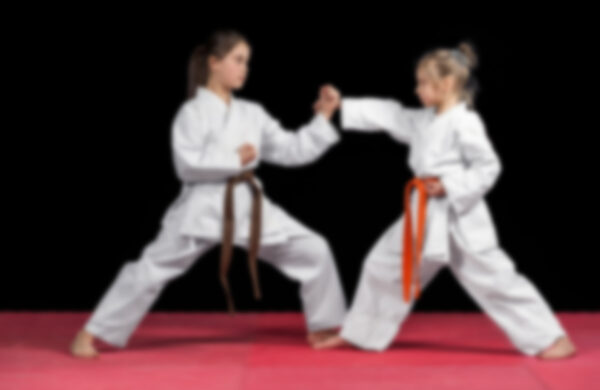 Kids Karate Groups