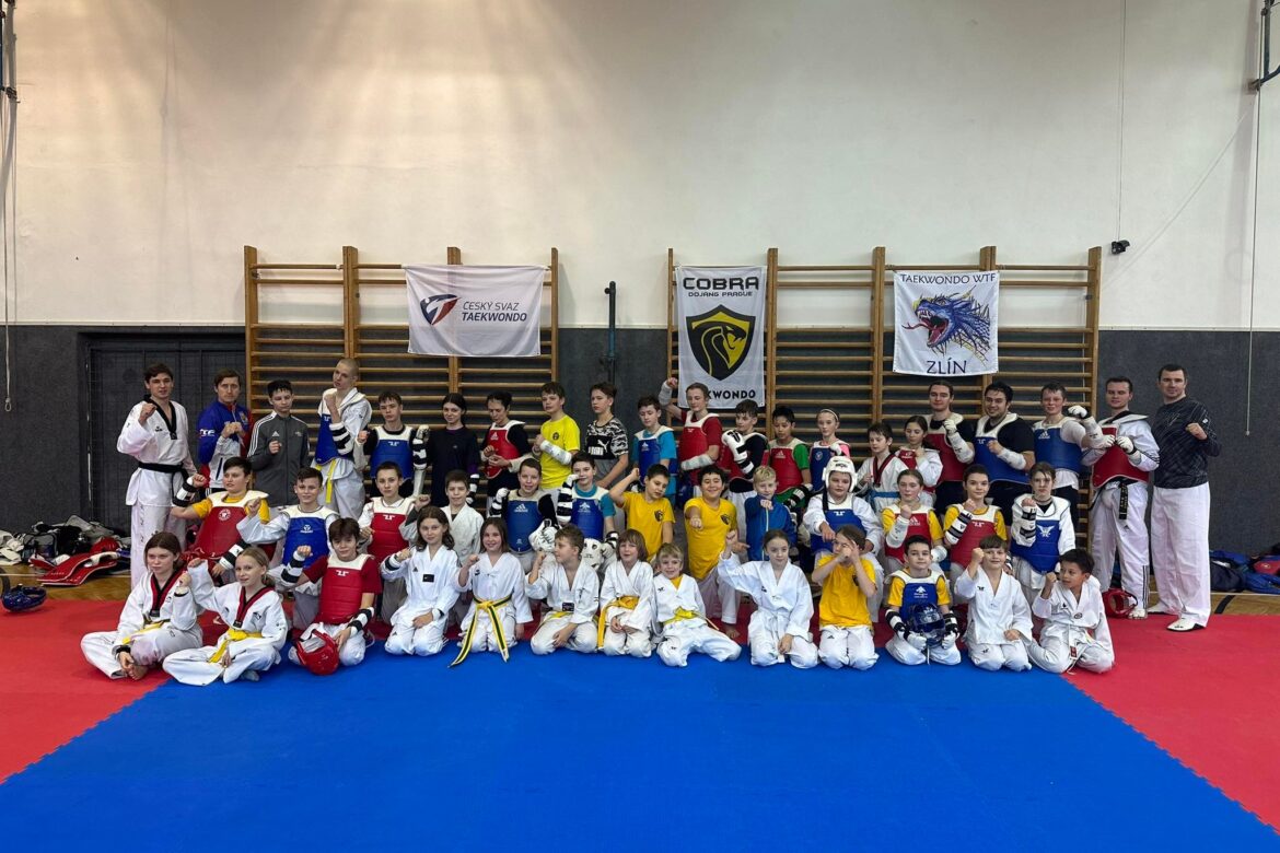 TAEKWONDO COBRA sparing seminář