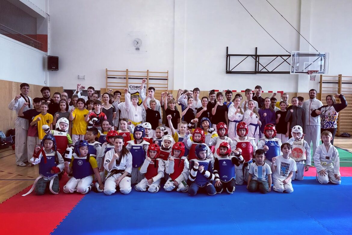 Taekwondo sparing seminář
