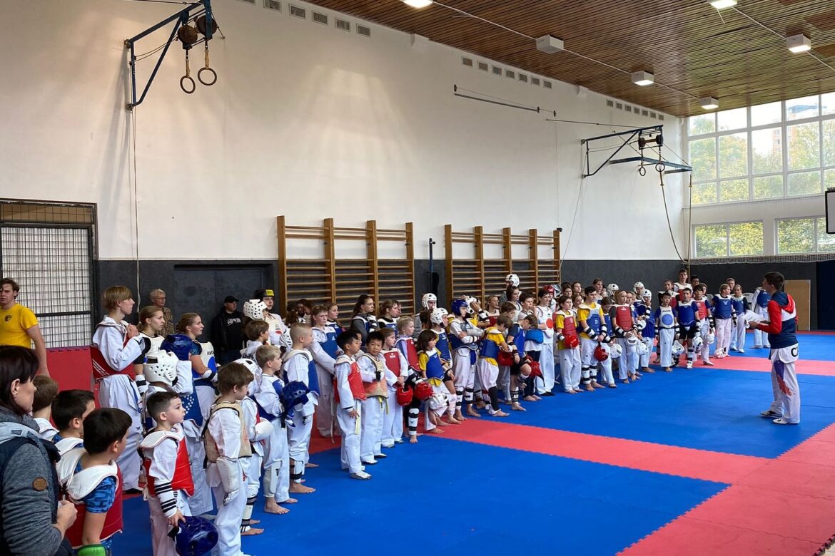 Taekwondo sparing seminář